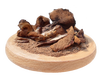 Porcini mushroom gourmet mix, wild, dried and mature